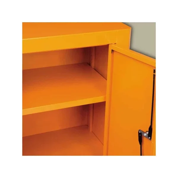 Authentic Original licence BETA Armoire Mobile à Porte C49 – 049000001 3